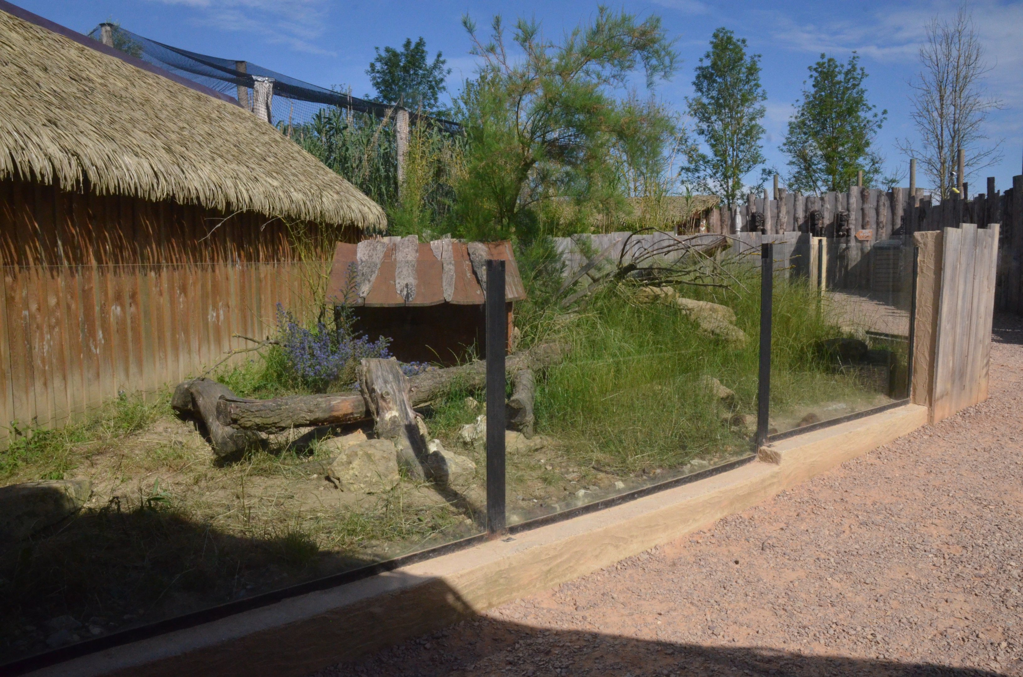 Dwarf Mongoose Enclosure at Biotropica, 16/06/18