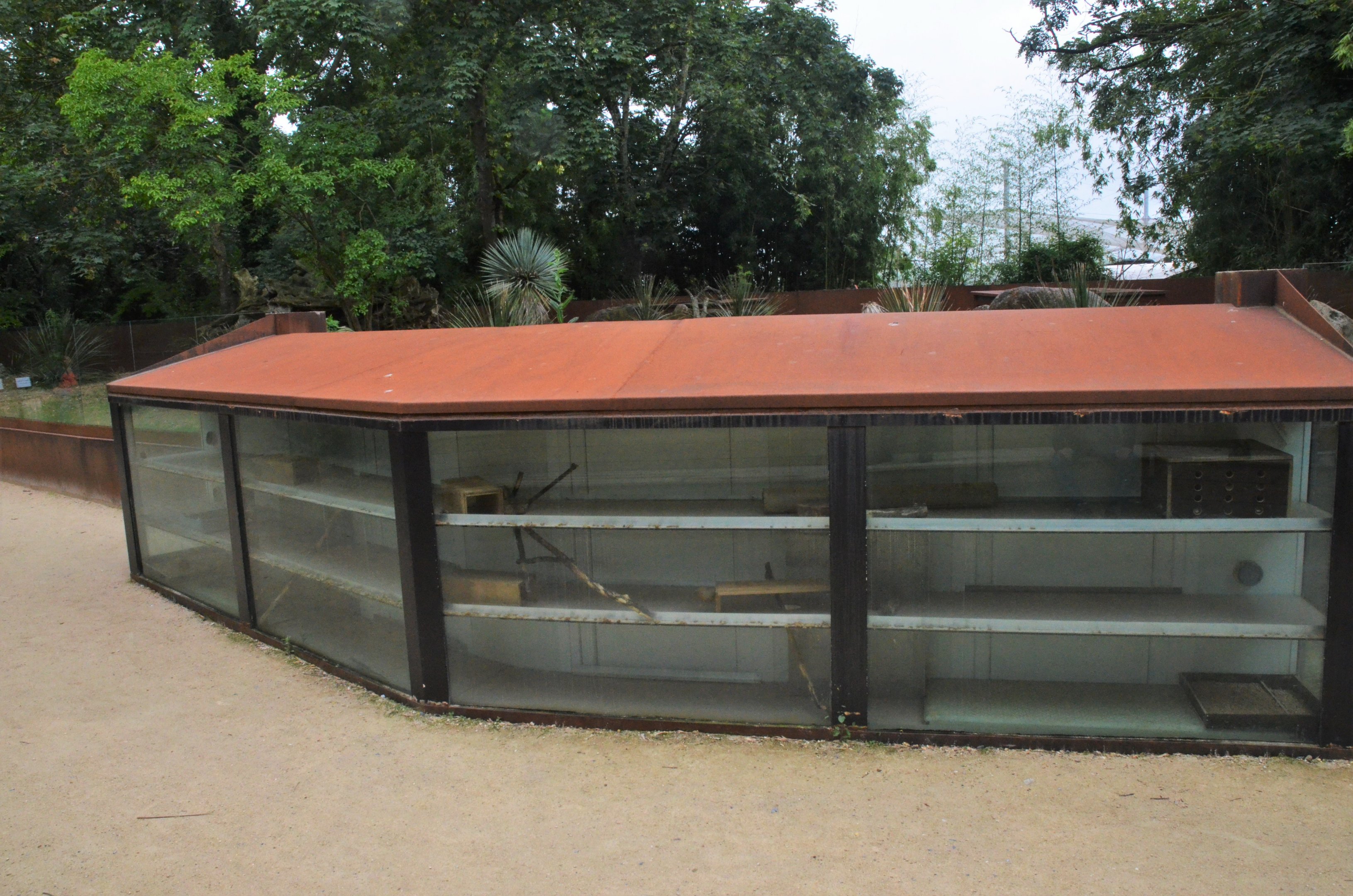 Dwarf Mongoose Enclosure at Doué-la-Fontaine, 15/06/18