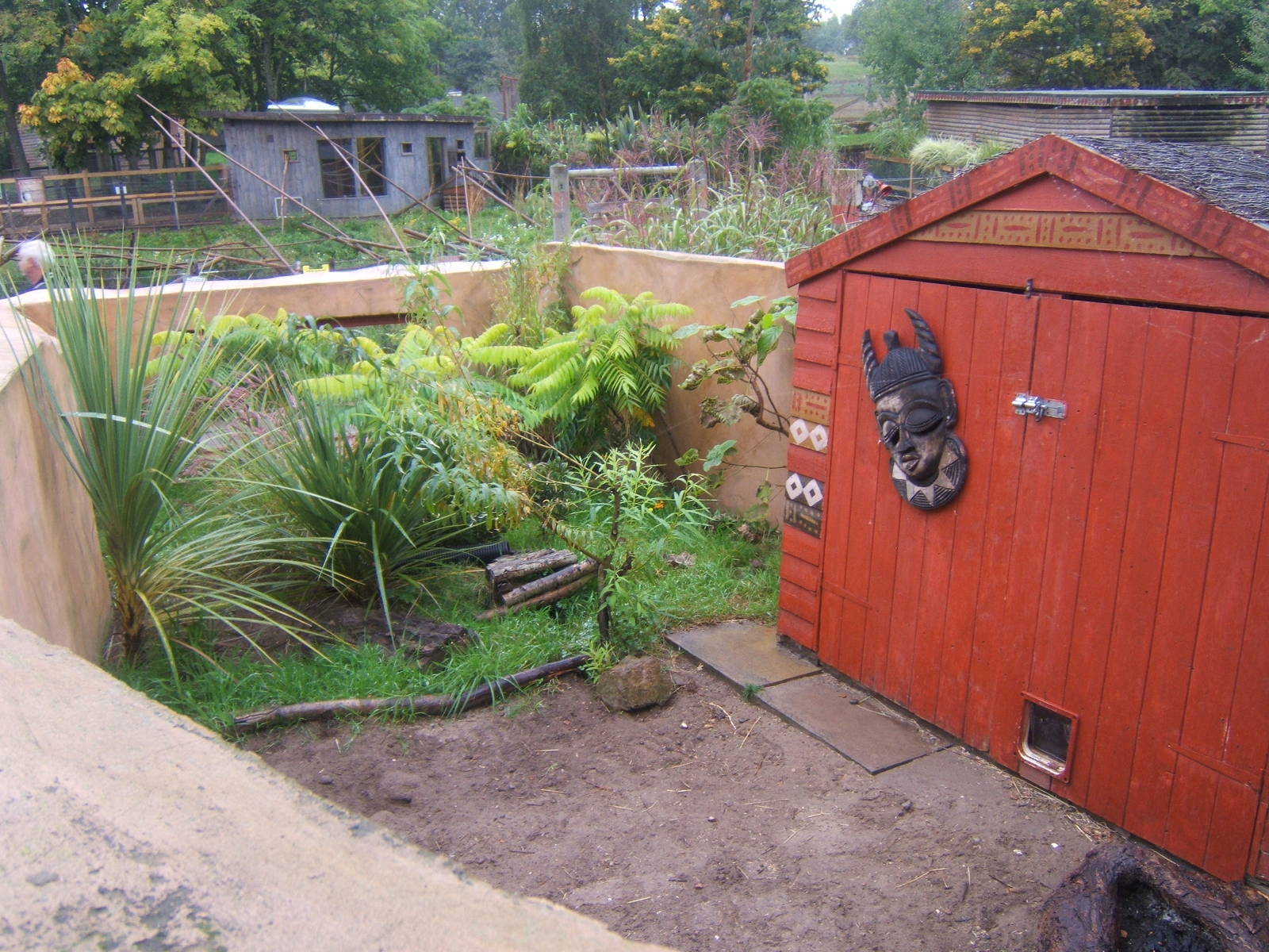 Dwarf Mongoose enclosure