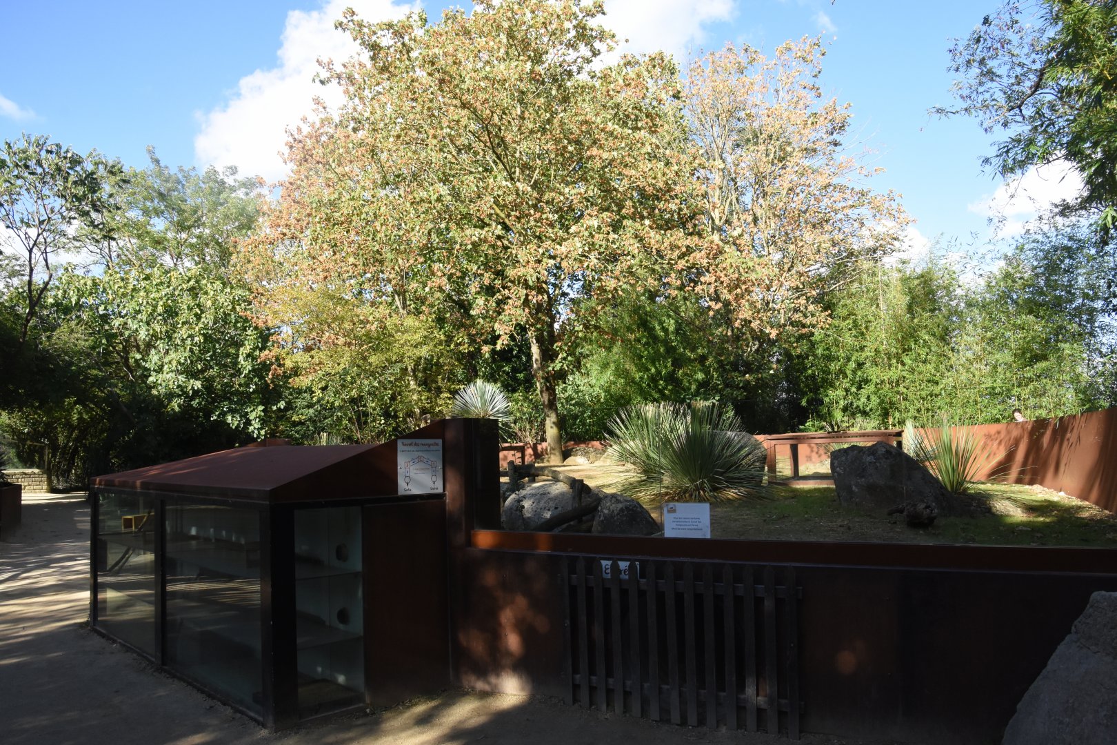 Dwarf Mongoose enclosure