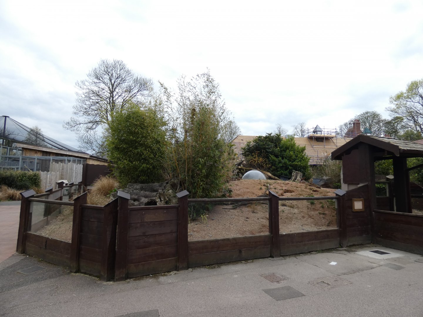 Dwarf mongoose enclosure