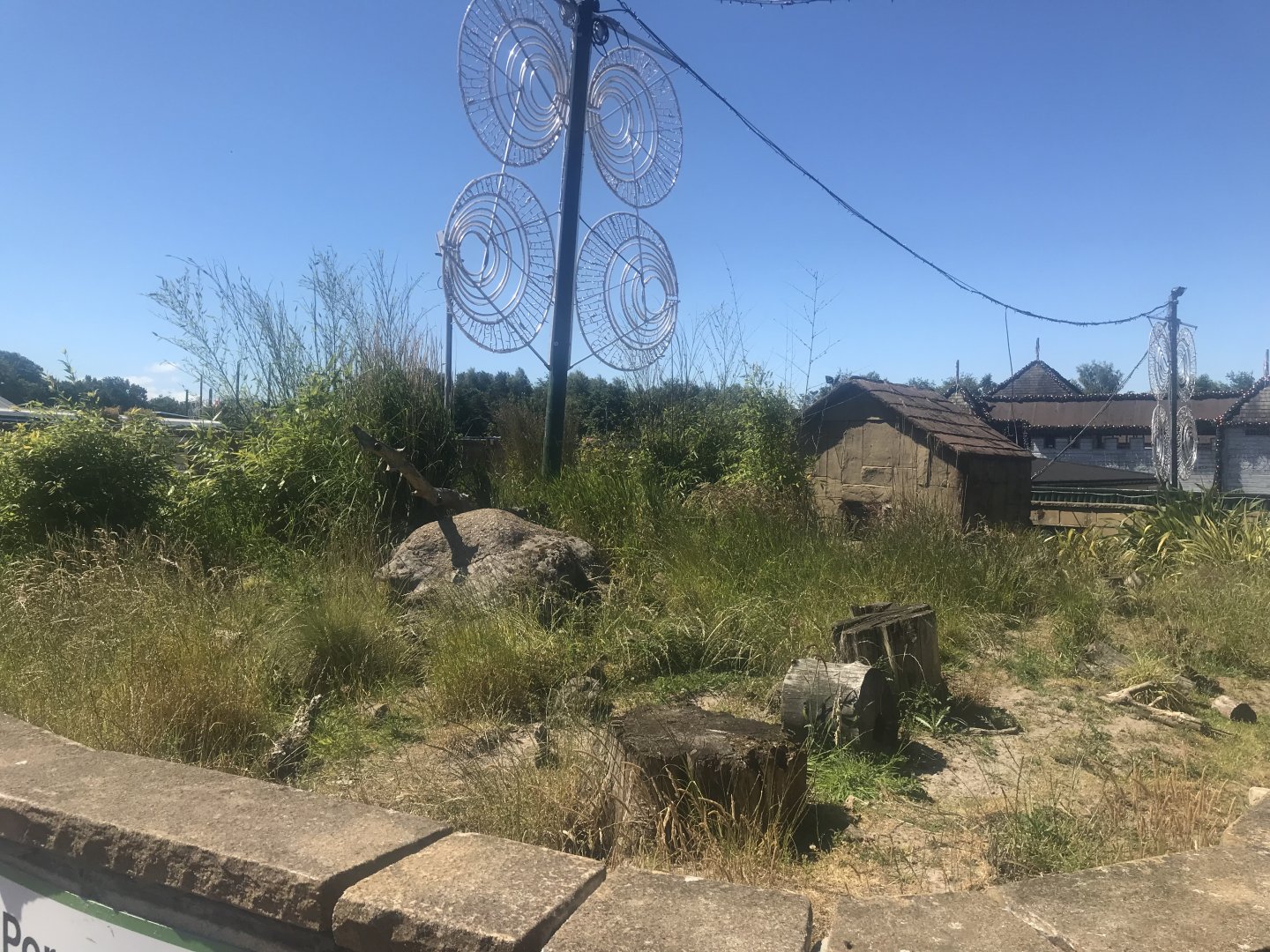 Dwarf mongoose enclosure