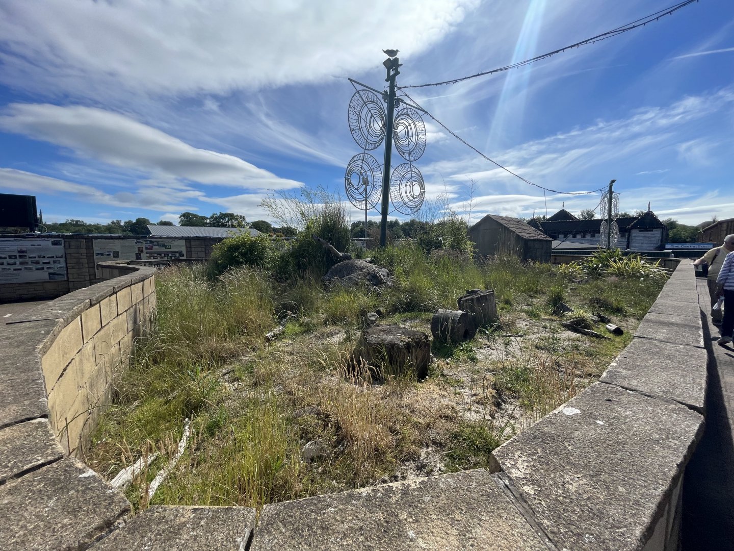 Dwarf mongoose enclosure