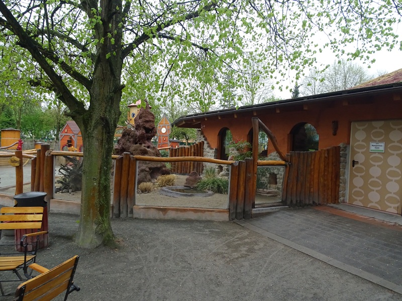 Dwarf mongoose enclosure