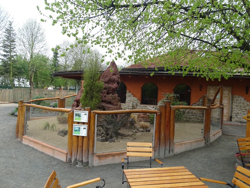 Dwarf mongoose enclosure