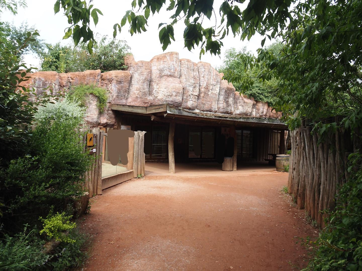 Dwarf mongoose exhibit and Boma/Giraffe barn viewing area, 2024-08-05