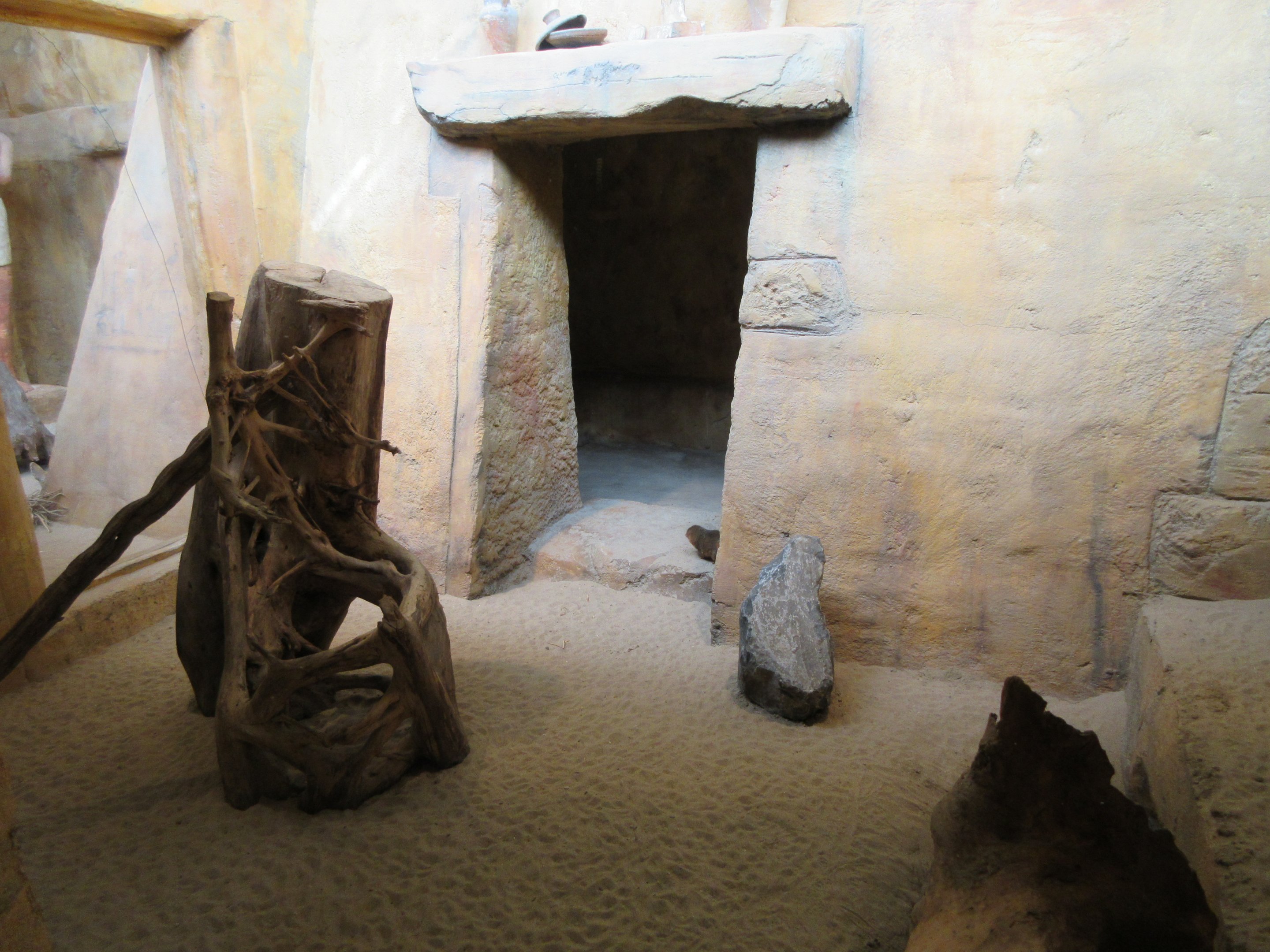 Dwarf Mongoose Exhibit