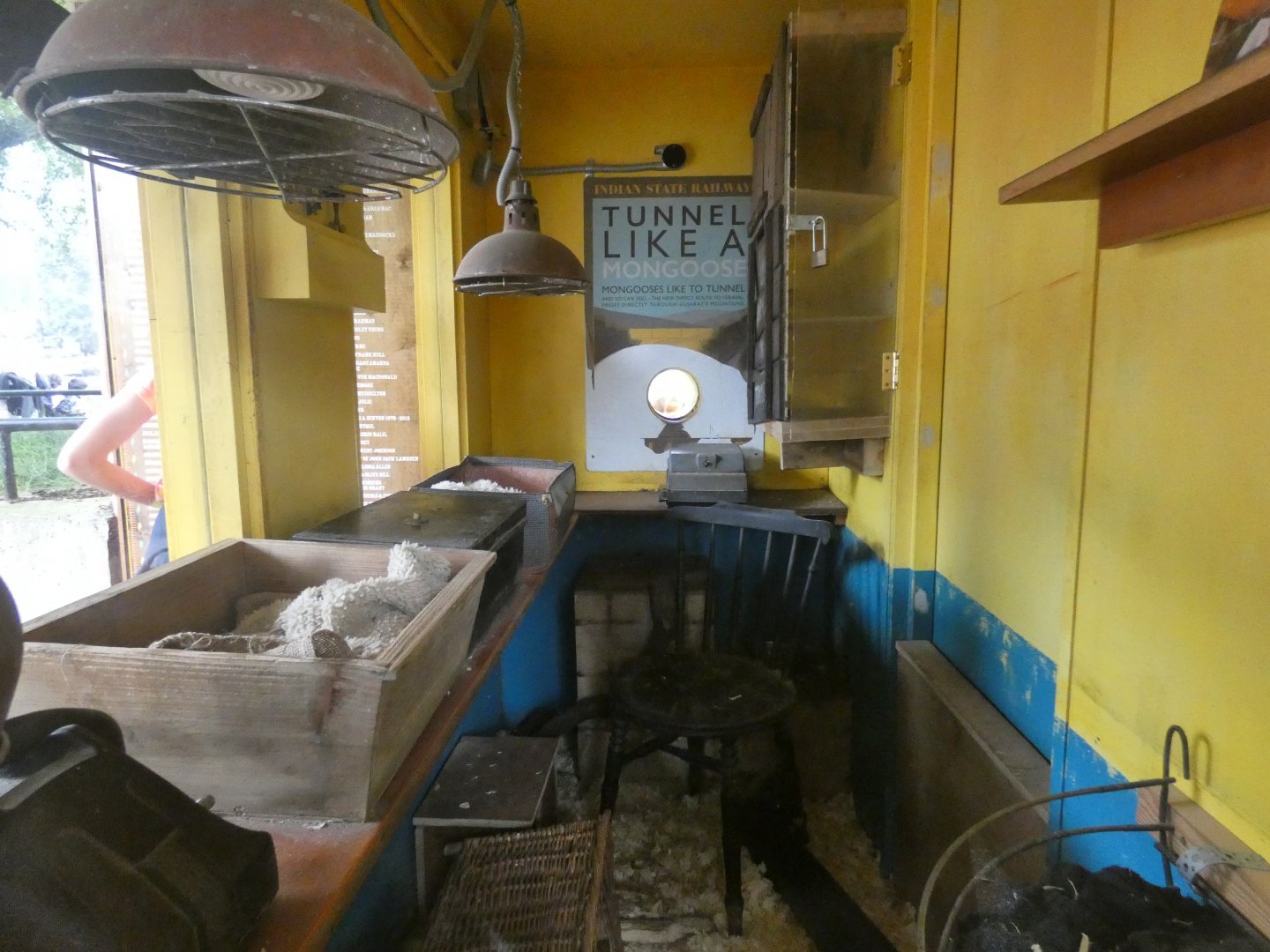 Dwarf mongoose indoor enclosure