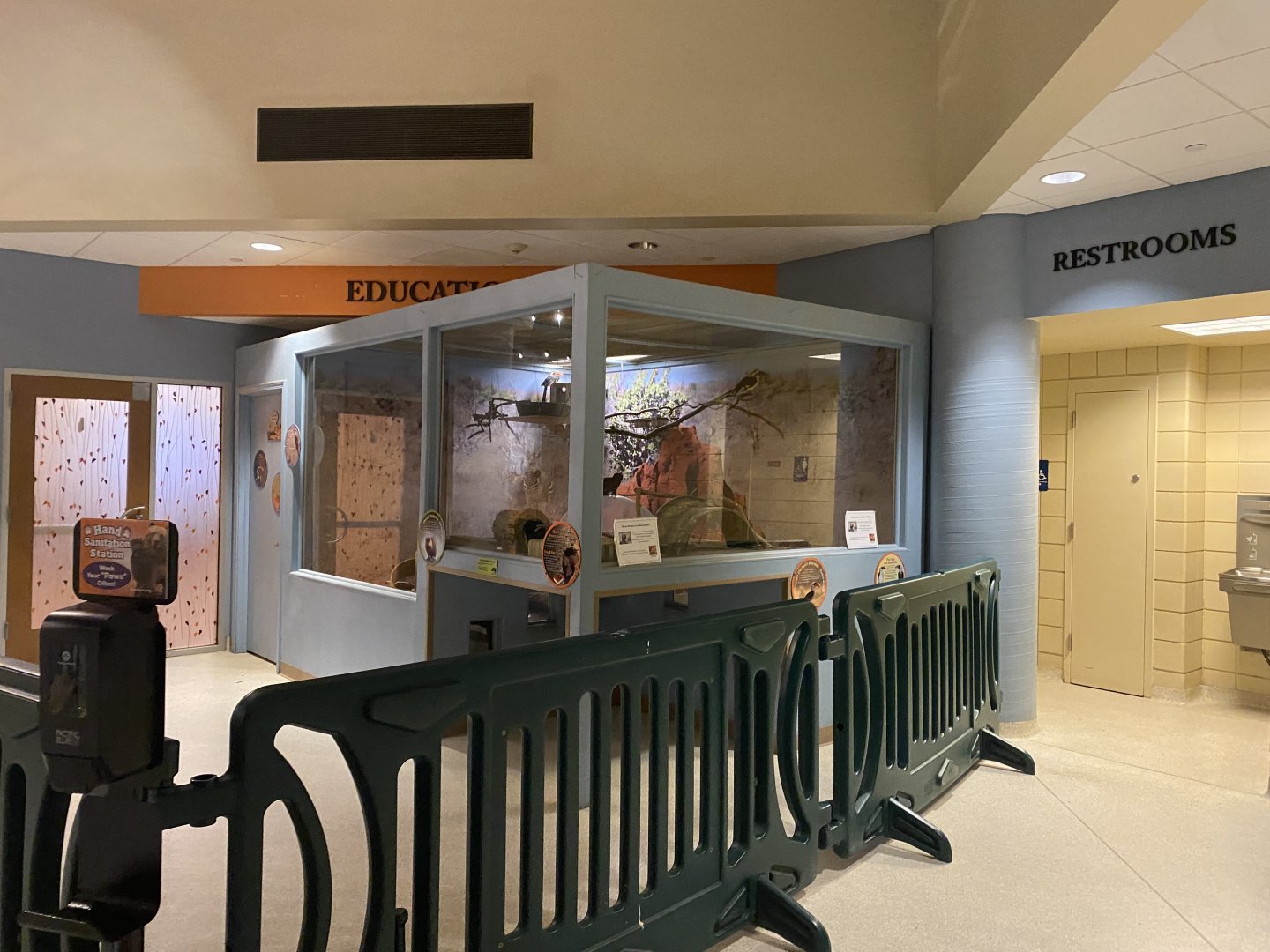 Dwarf Mongoose/Von Der Decken’s Hornbill Exhibit