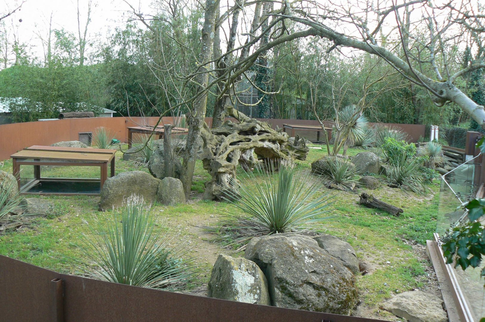 Dwarf mongooses enclosure