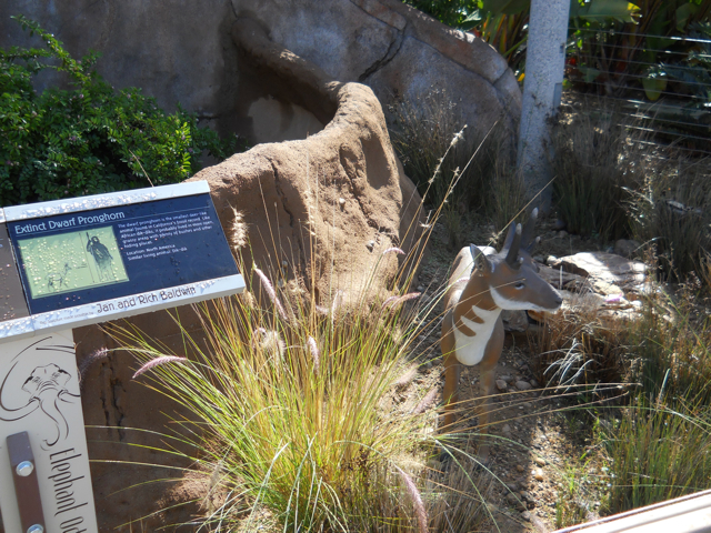 Dwarf Pronghorn statue Elephant Odyssey