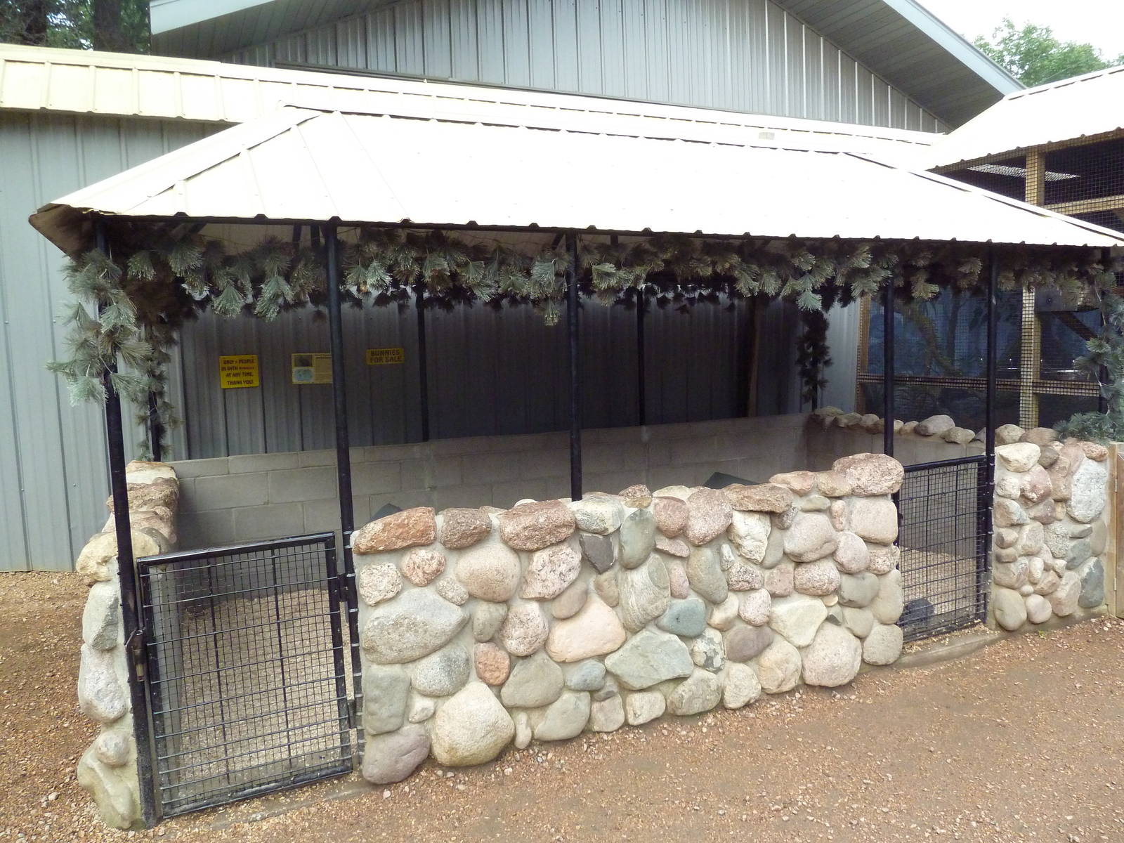 Dwarf Rabbit Exhibit