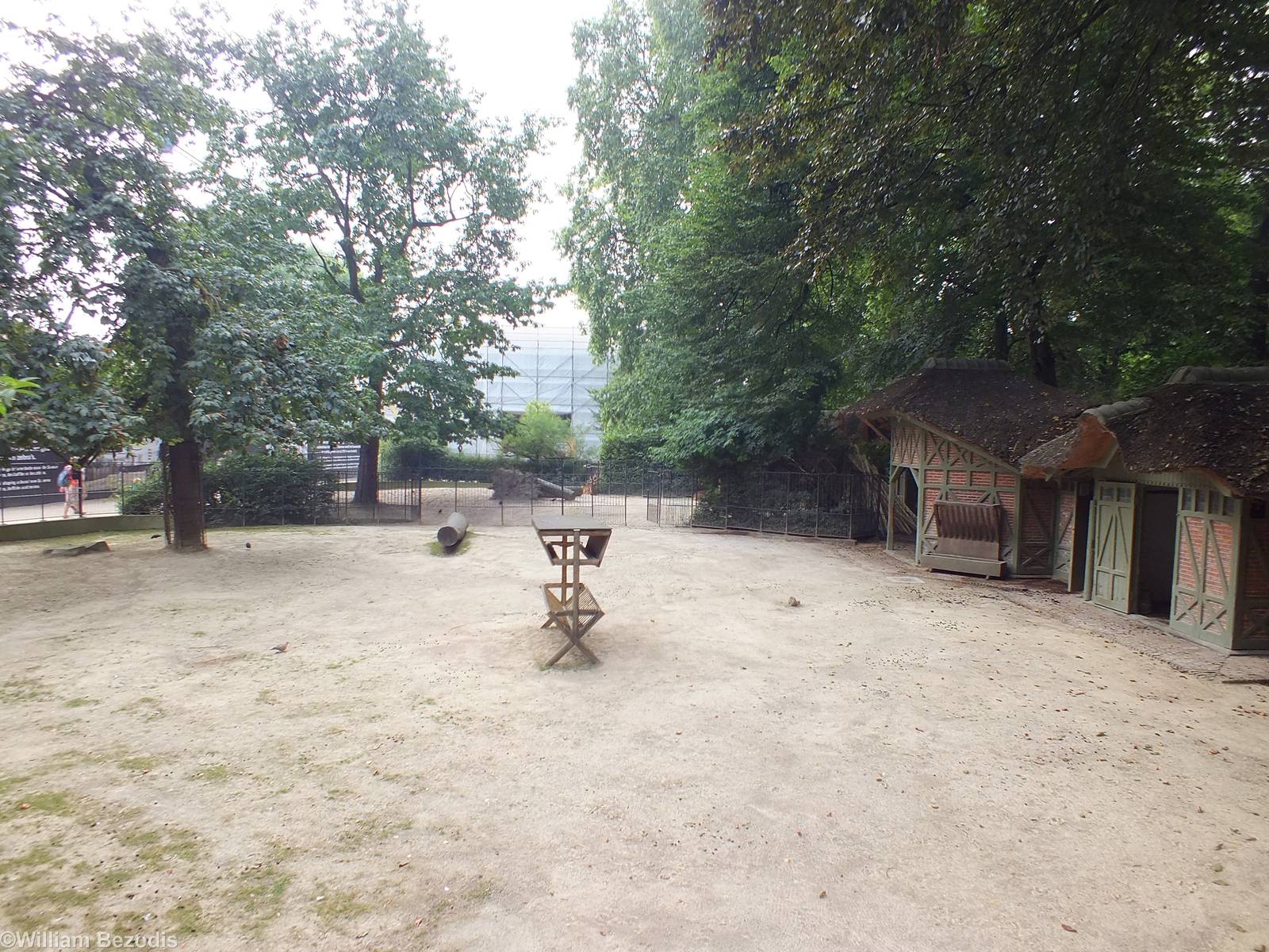 Dybowski Deer Paddock