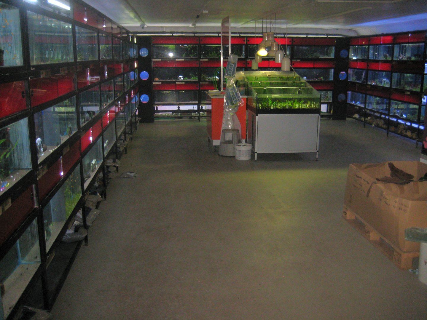 Dyrenes Verden - Aquarium room