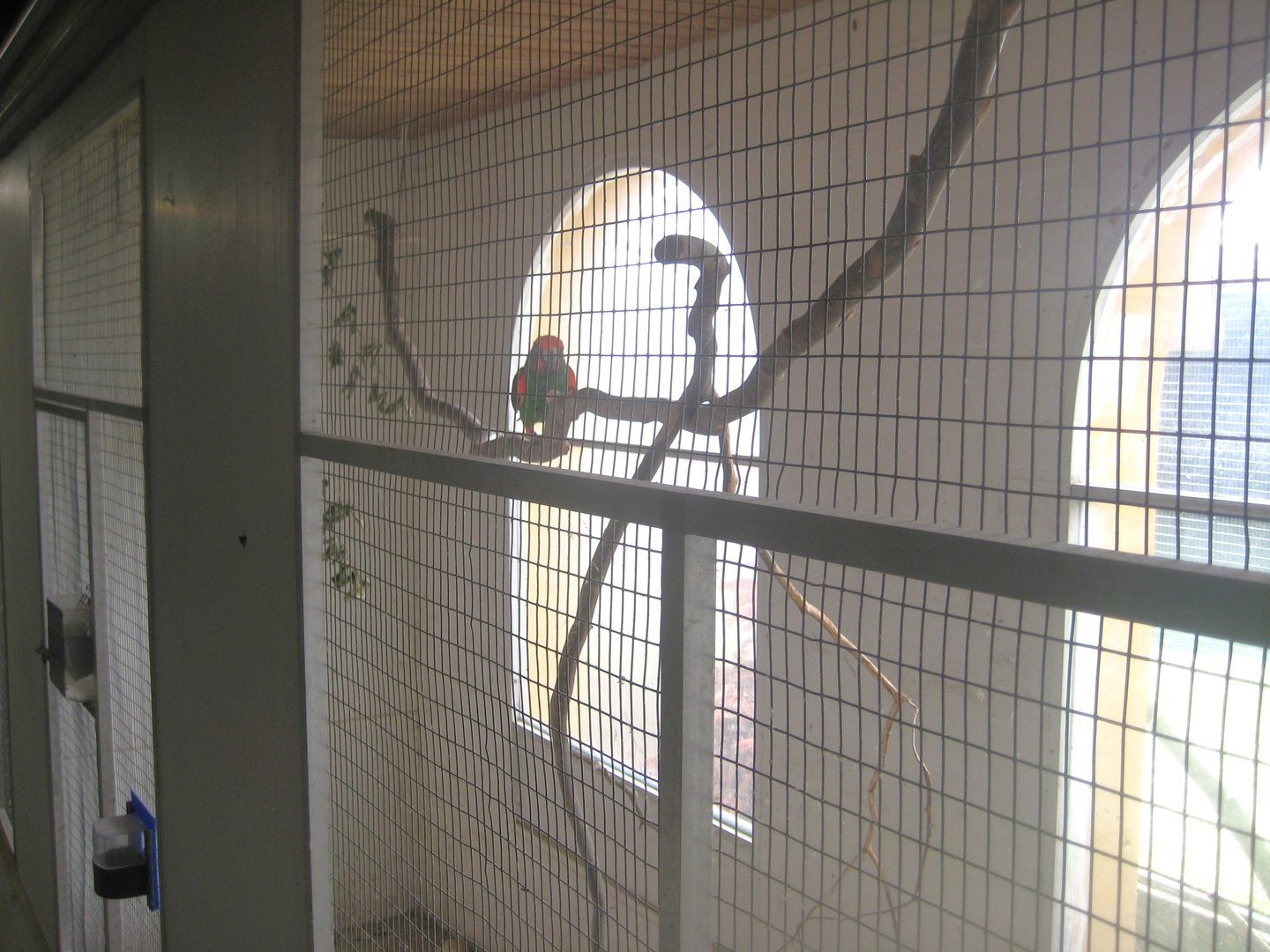 Dyrenes Verden - "Bird hallway" - Amazon aviary
