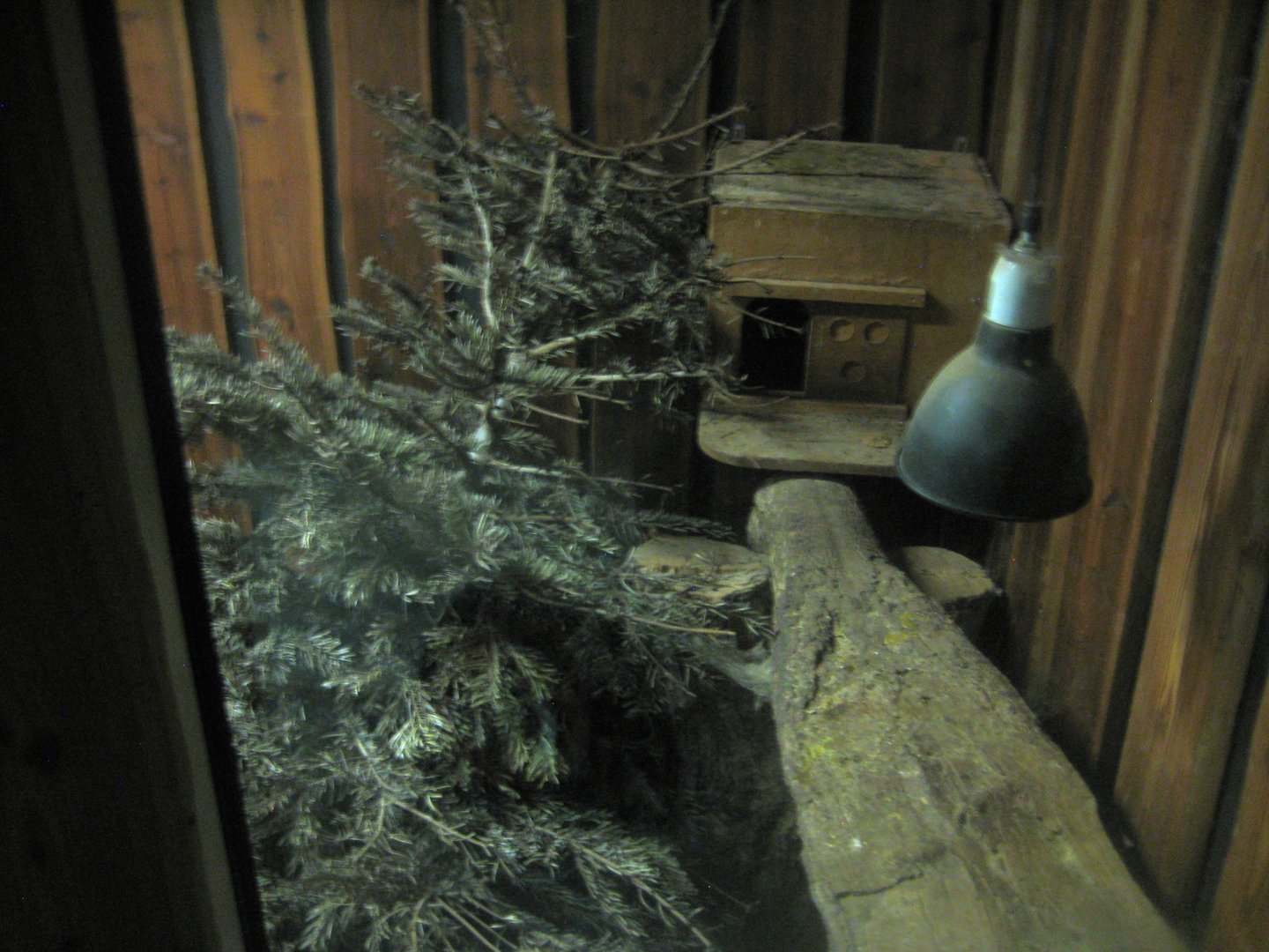 Dyrenes Verden - "Bird hallway" - Fox exhibit