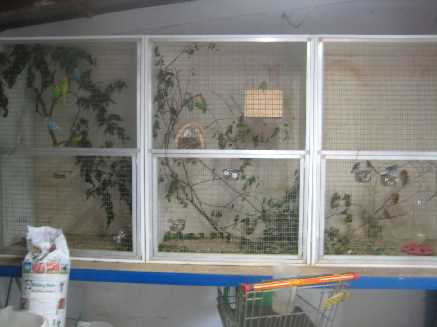 Dyrenes Verden - "Bird hallway" - Old cages