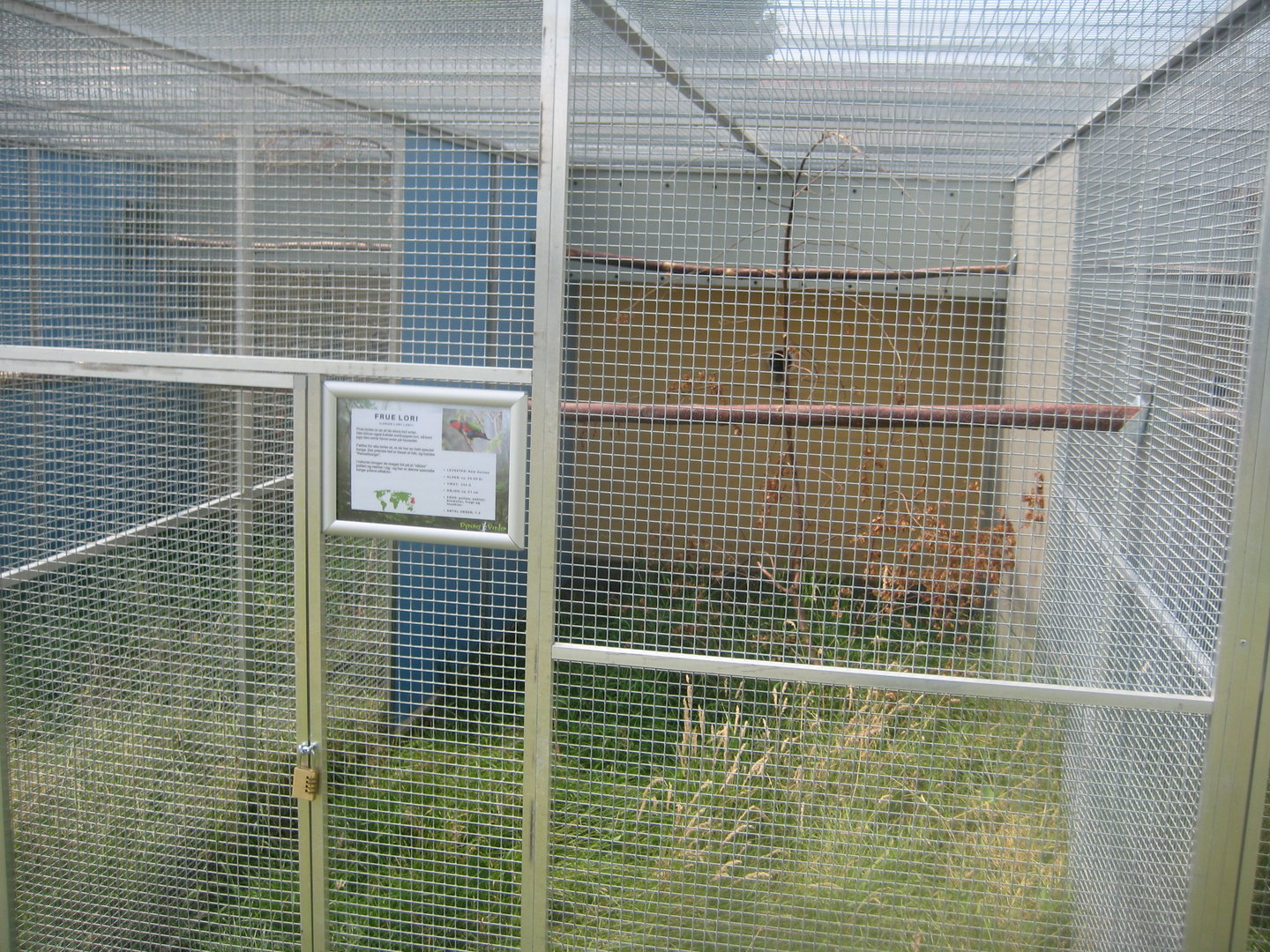 Dyrenes Verden - Black-capped lory aviary