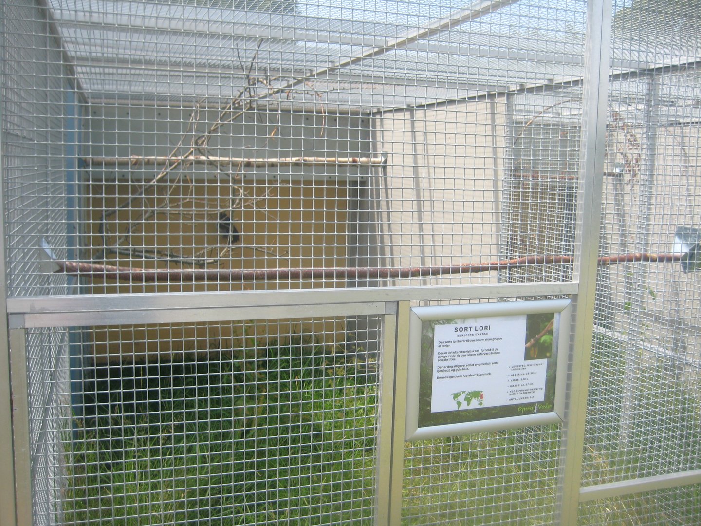Dyrenes Verden - Black lory aviary