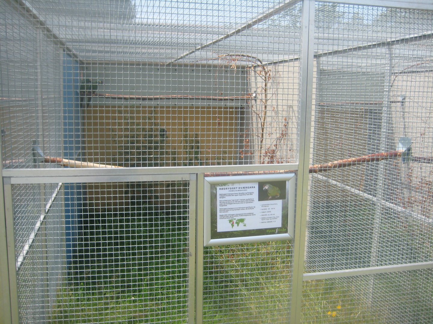 Dyrenes Verden - Blue-winged macaw aviary