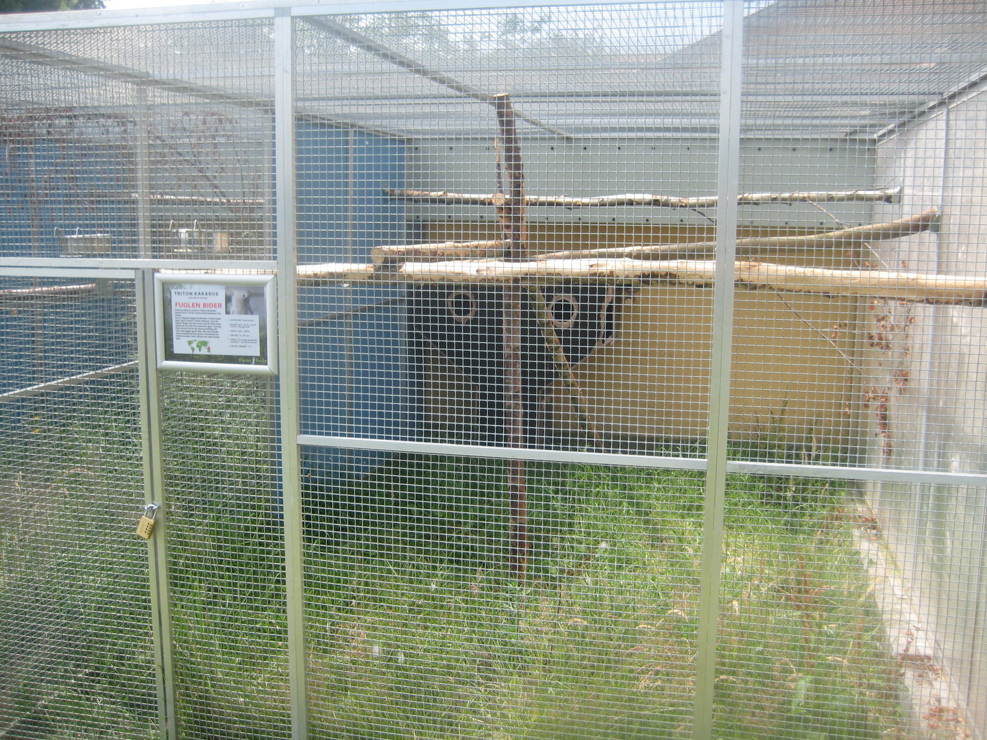 Dyrenes Verden - Cockatoo aviary
