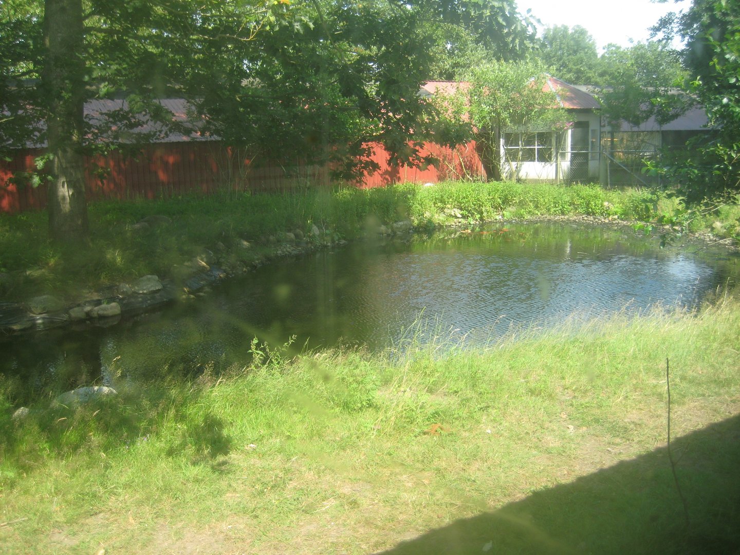 Dyrenes Verden - Emu exhibit