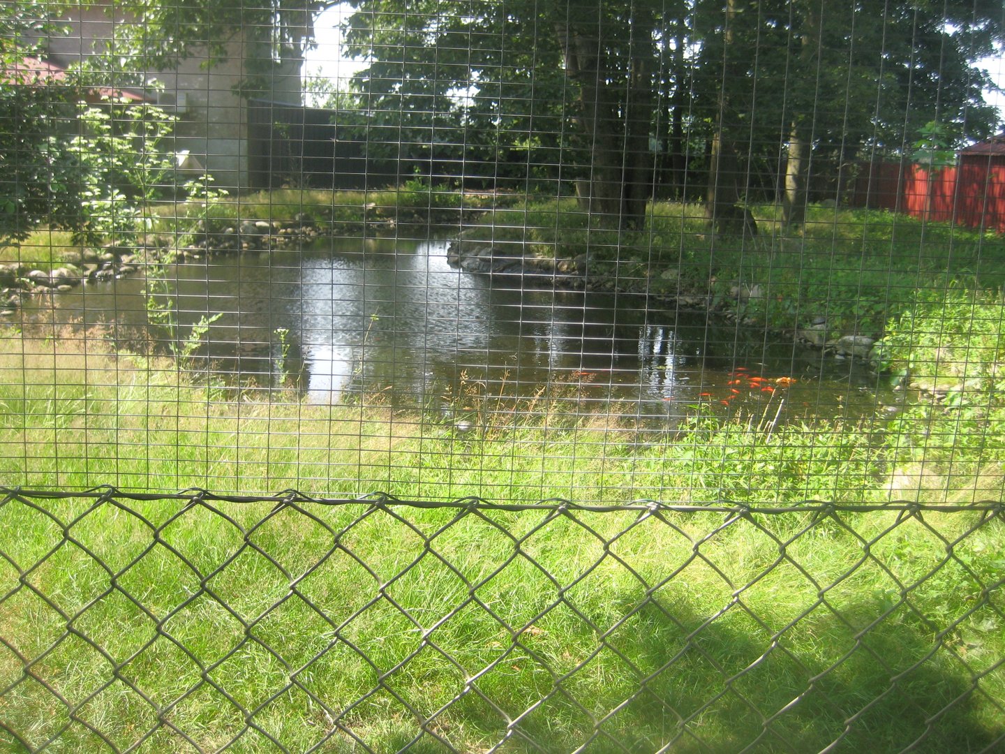 Dyrenes Verden - Emu exhibit