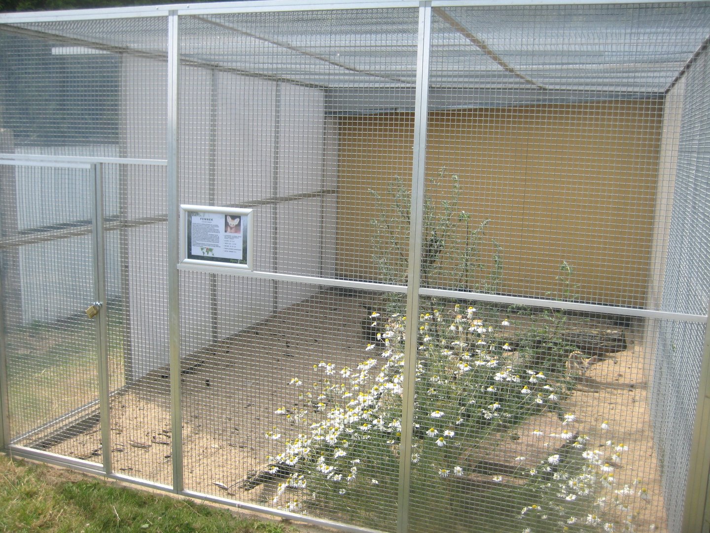 Dyrenes Verden - Fox exhibit