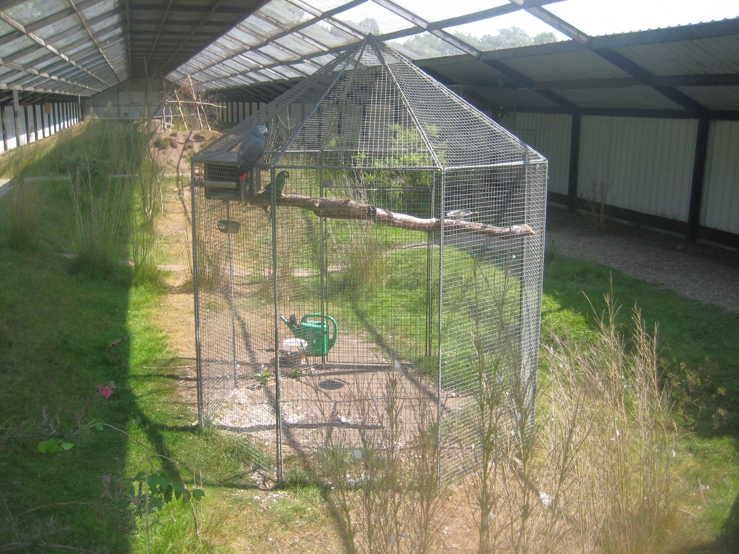 Dyrenes Verden - Free-flight aviary - Macaw aviary