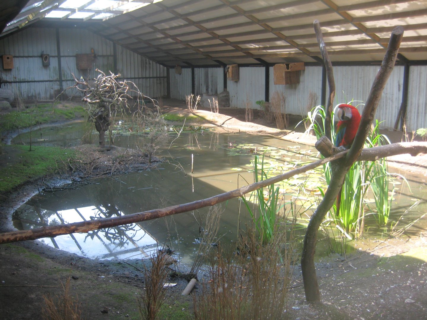 Dyrenes Verden - Free-flight aviary