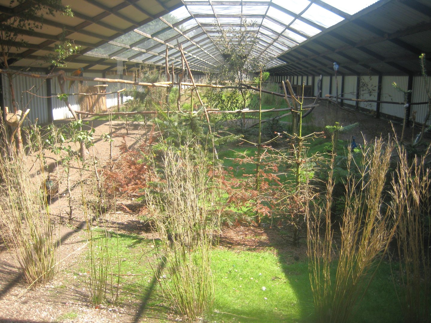 Dyrenes Verden - Free-flight aviary