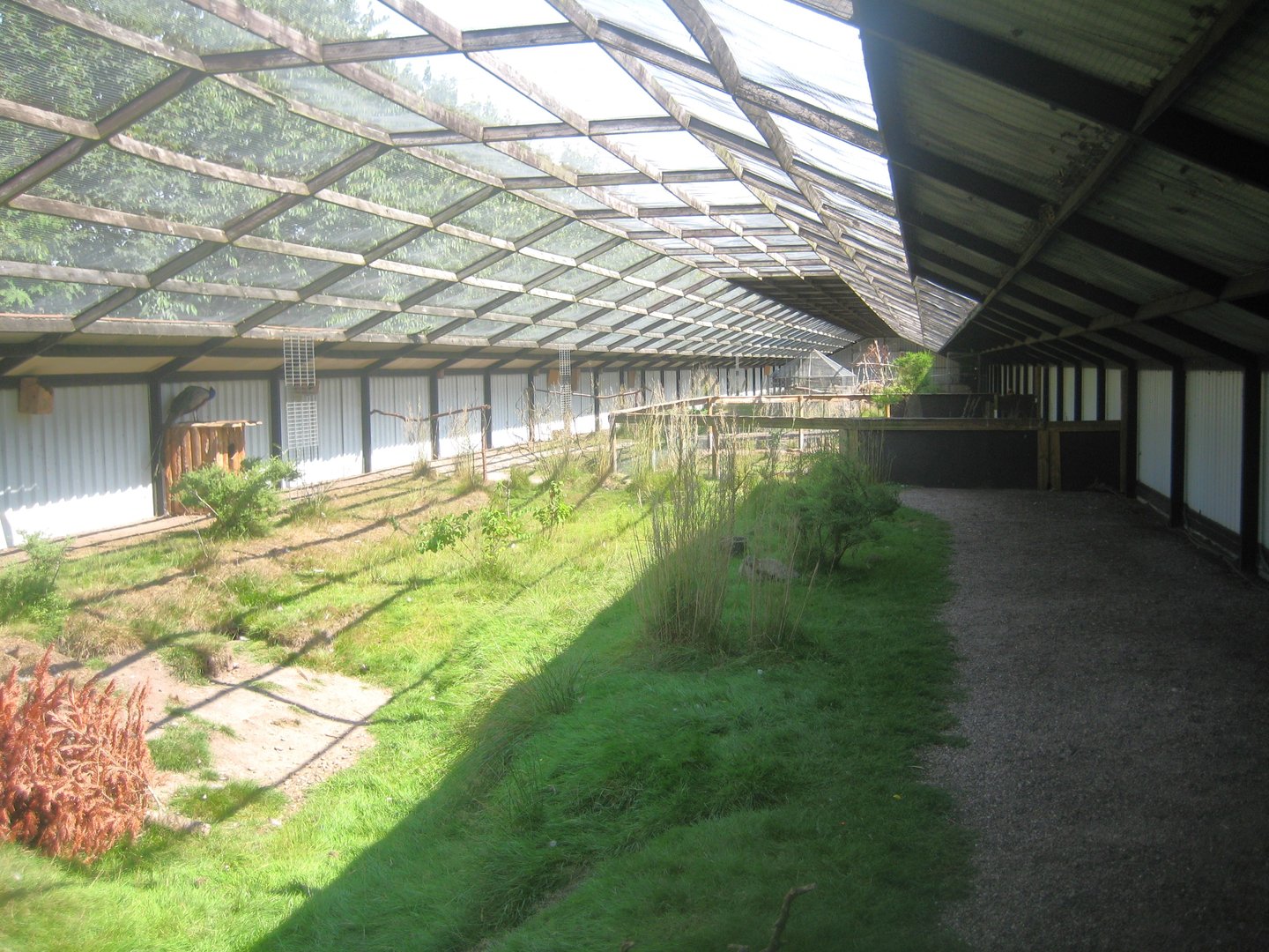 Dyrenes Verden - Free-flight aviary