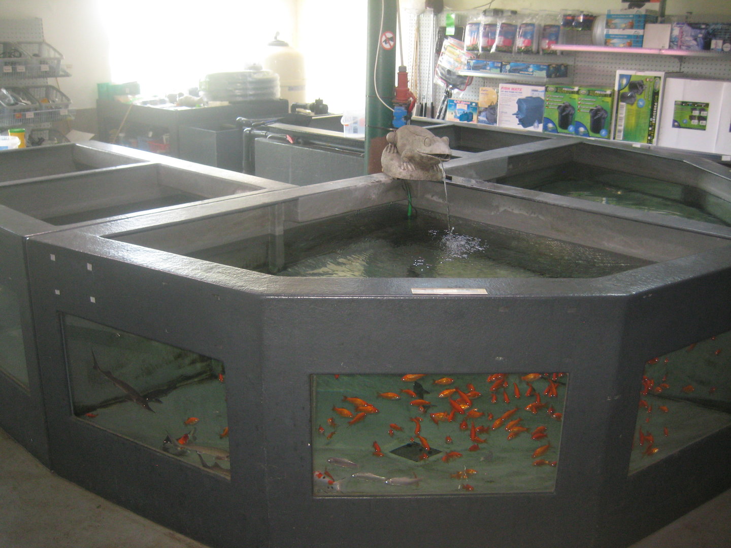 Dyrenes Verden - Garden pond area