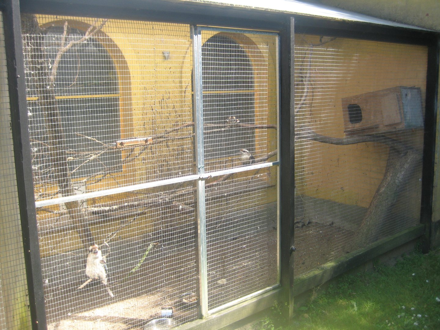 Dyrenes Verden - Kookaburra aviary