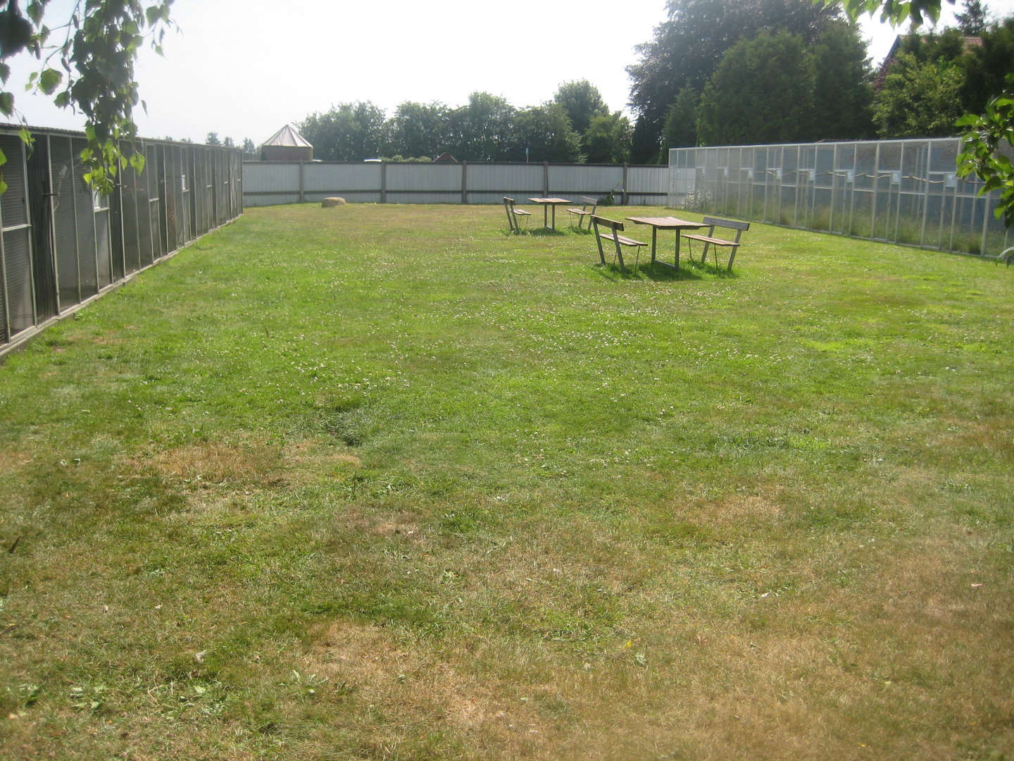 Dyrenes Verden - Lawn with aviaries