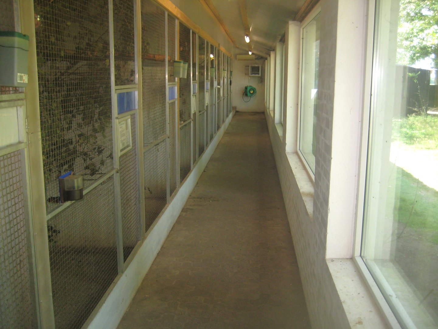 Dyrenes Verden - "Monkey hallway"