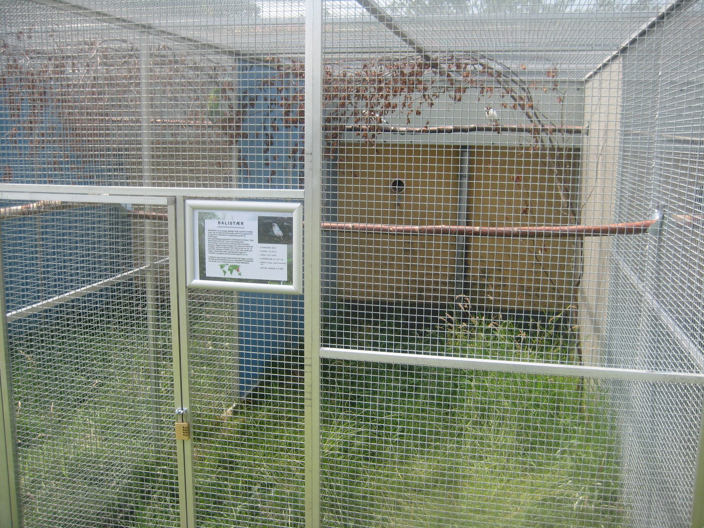 Dyrenes Verden - Myna aviary