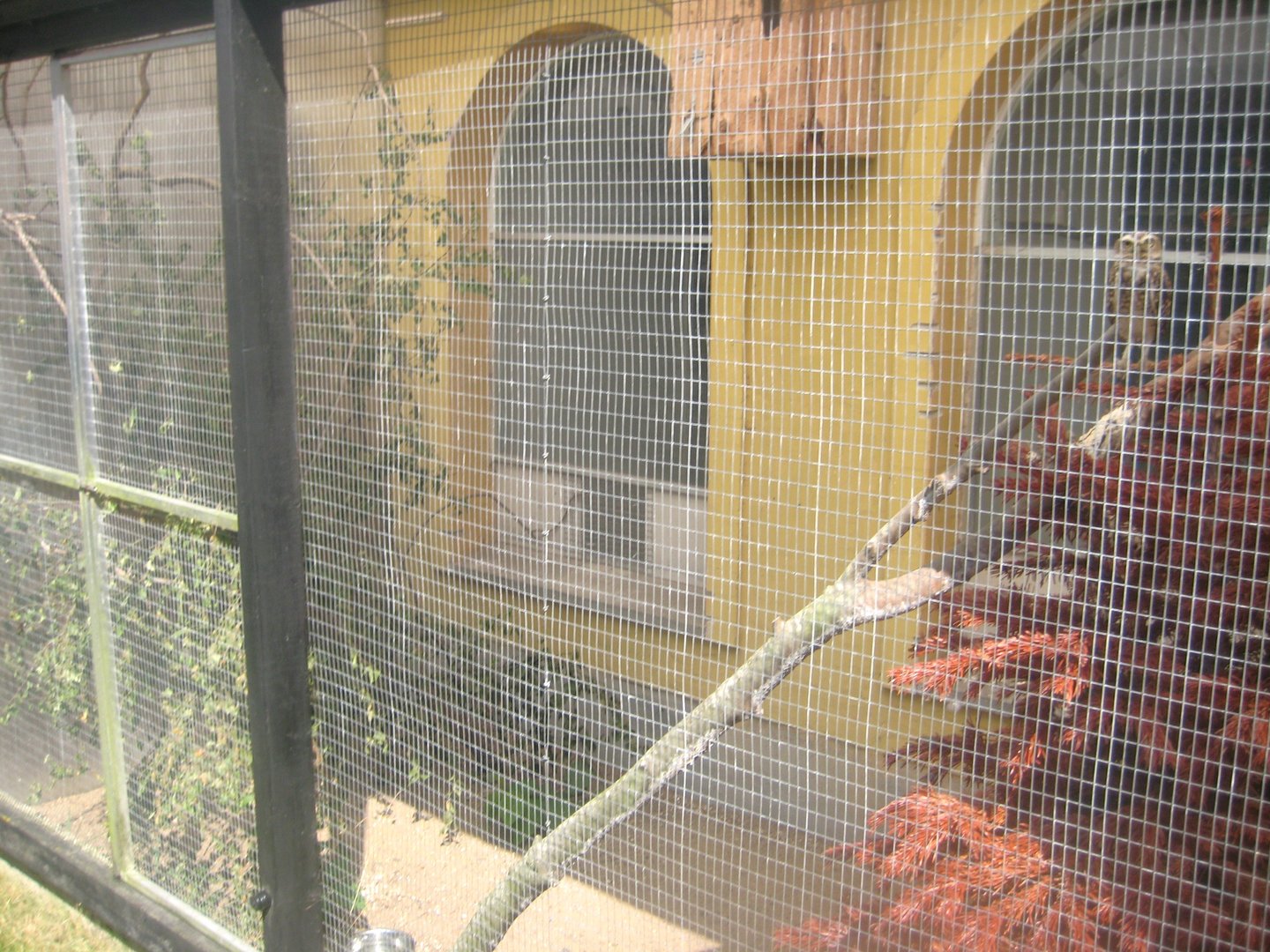 Dyrenes Verden - Owl aviary #1