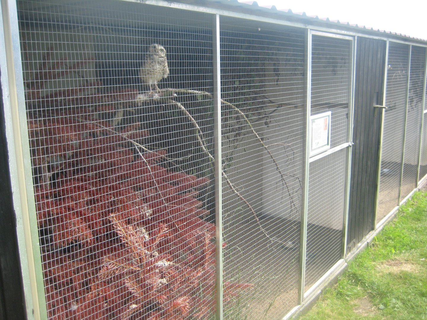Dyrenes Verden - Owl aviary #2