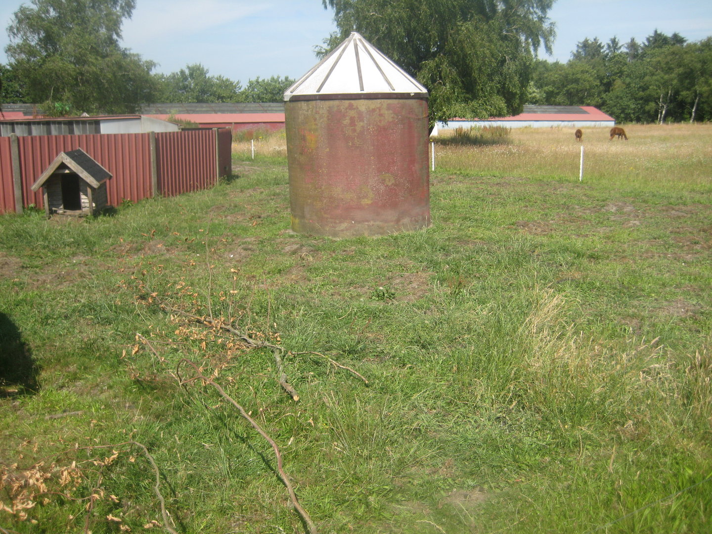 Dyrenes Verden - Pig exhibit