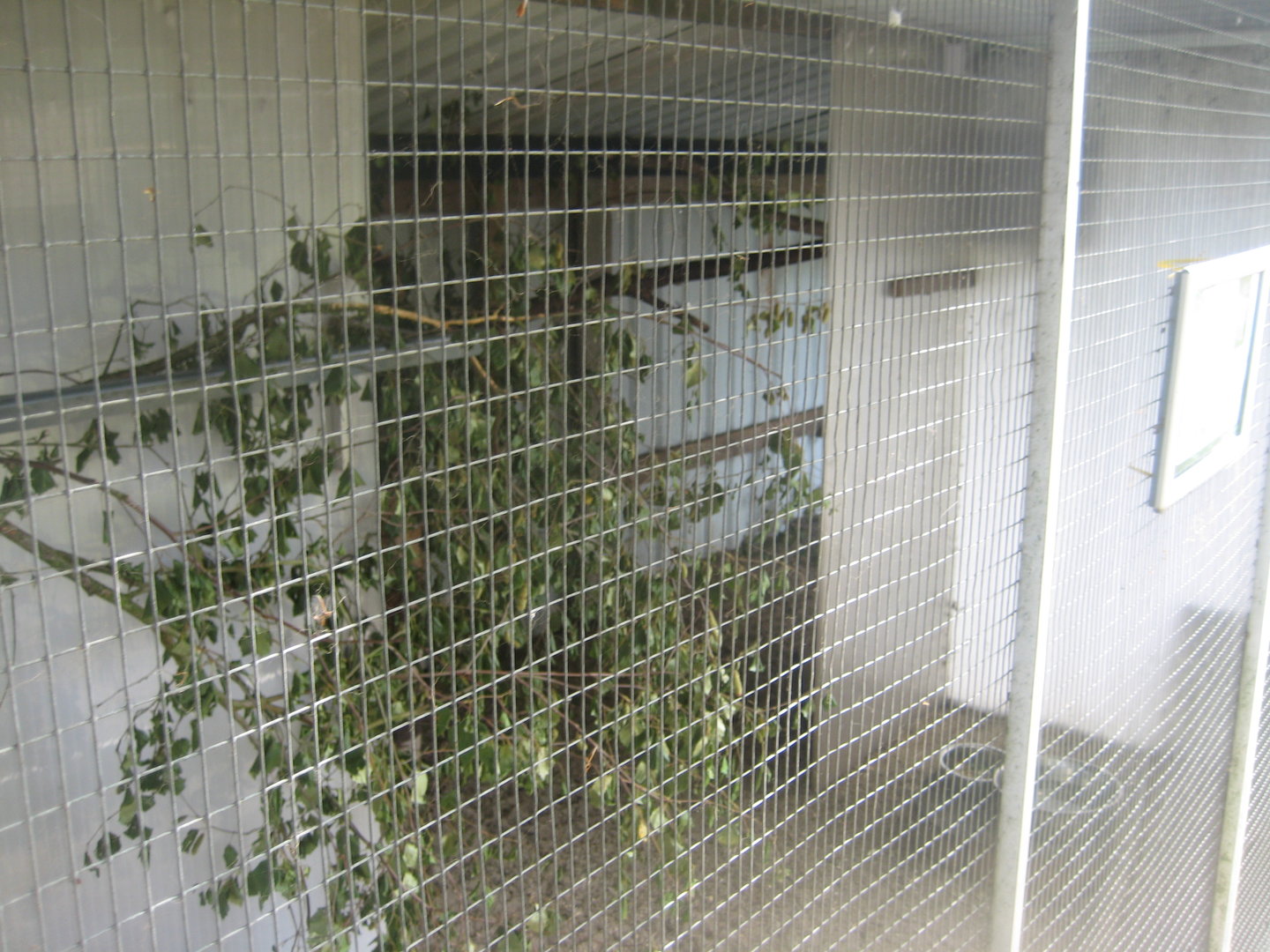 Dyrenes Verden - Possum exhibit