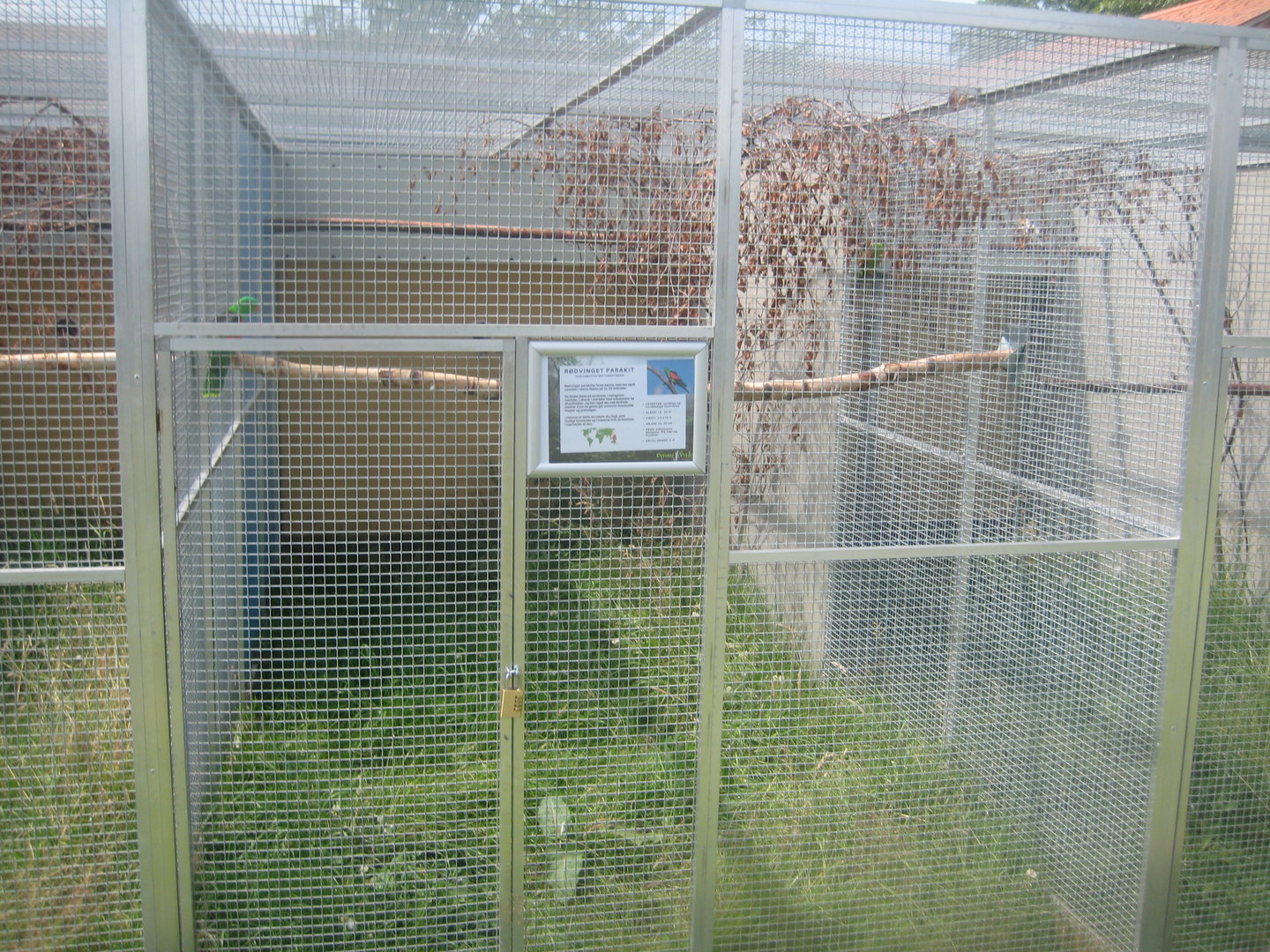 Dyrenes Verden - Red-winged parrot aviary