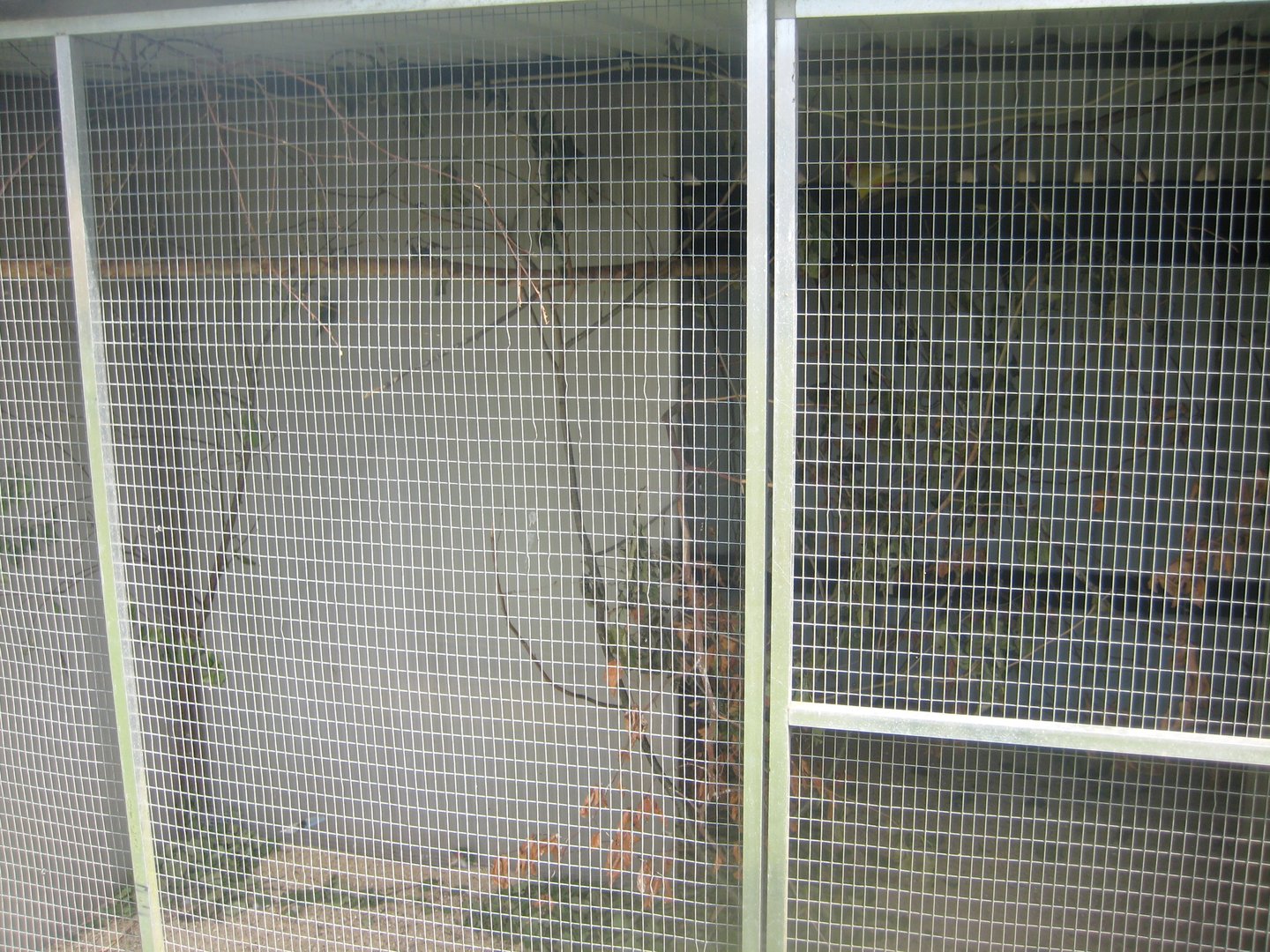 Dyrenes Verden - Rosella aviary #2