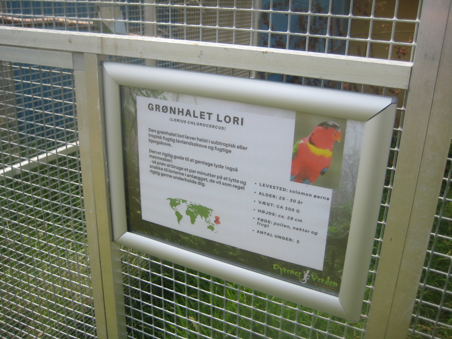 Dyrenes Verden - Signage example