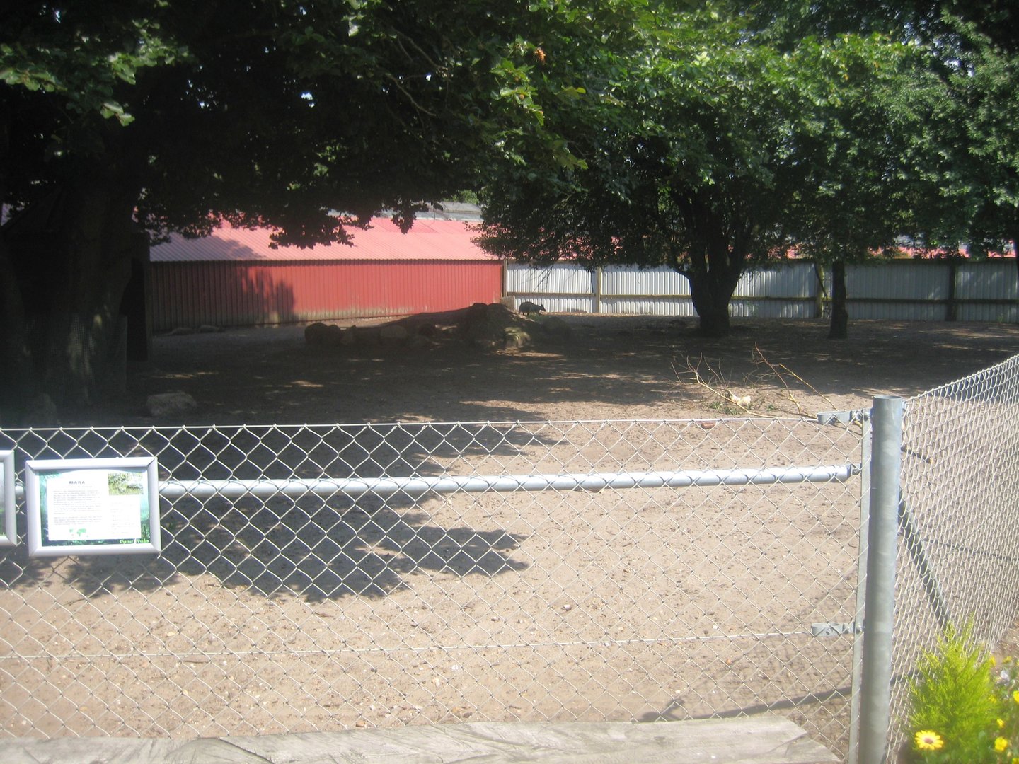 Dyrenes Verden - Wallaby/cavy exhibit