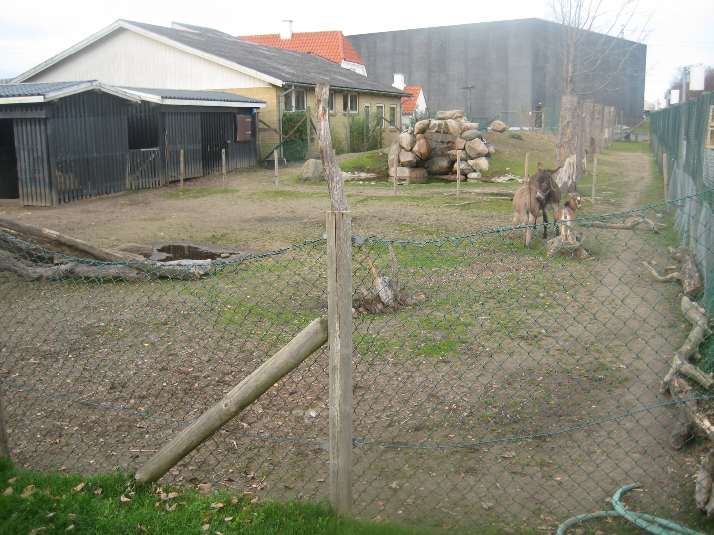 Dyreparken NBV - Donkey/duck exhibit