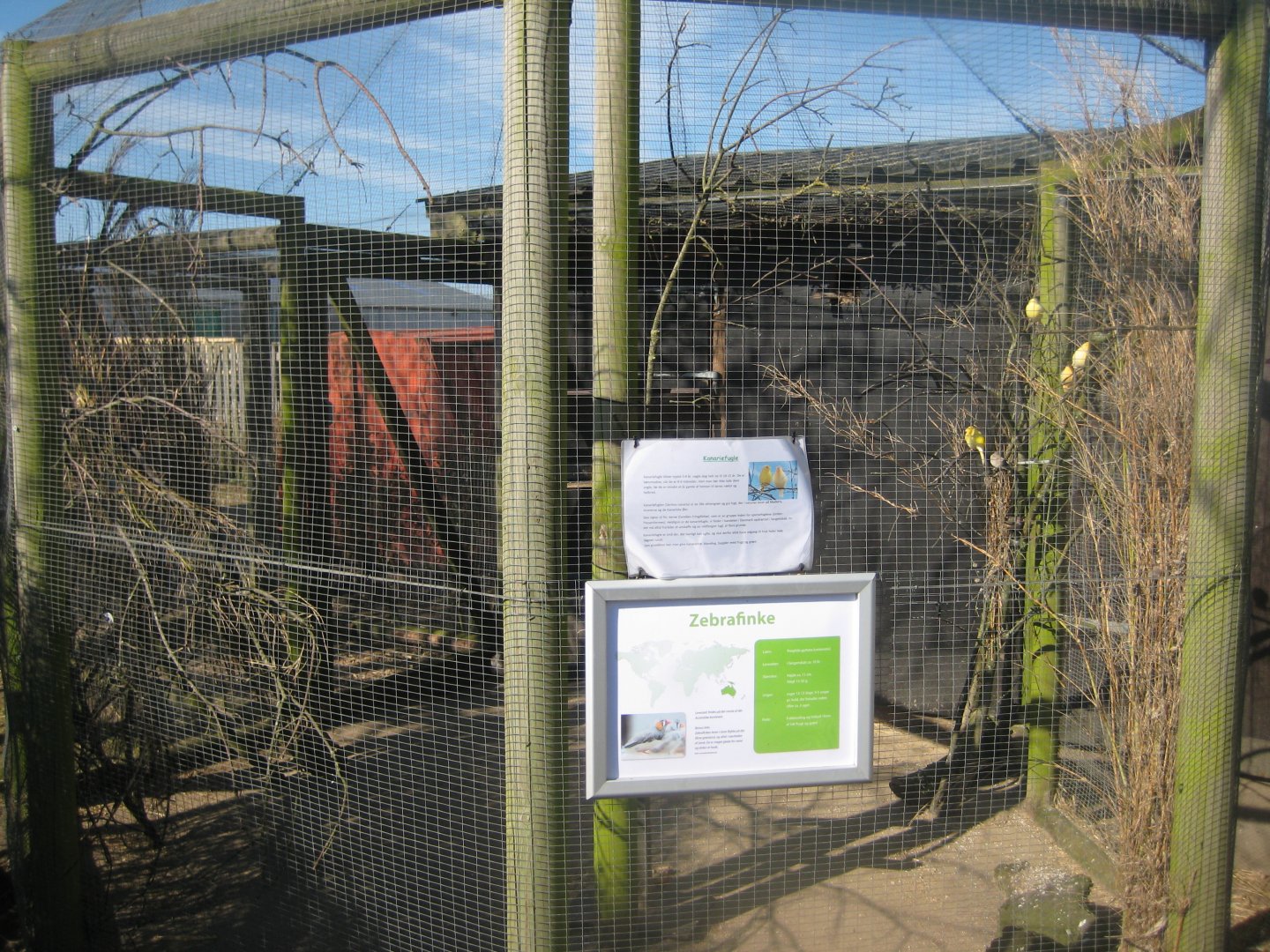 Dyreparken NBV - Finch aviary