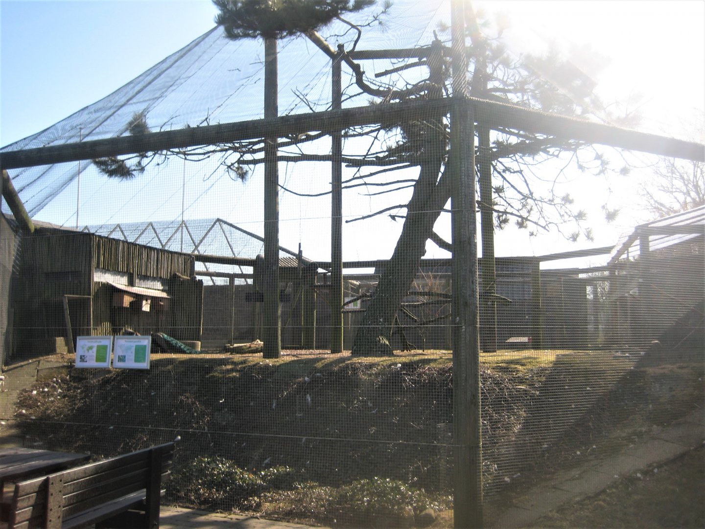 Dyreparken NBV - Free-flight aviary