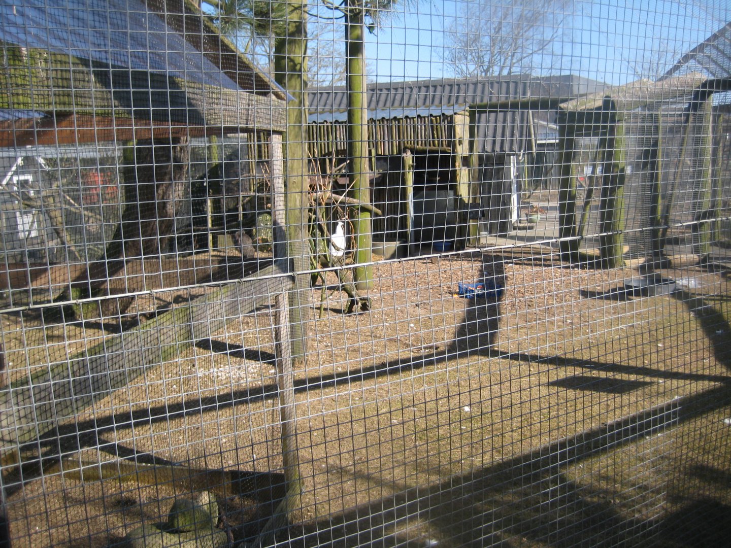 Dyreparken NBV - Free-flight aviary