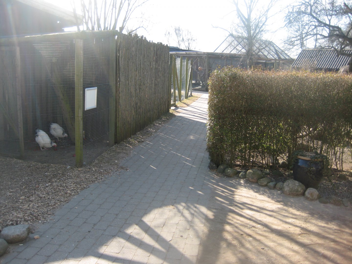 Dyreparken NBV - General view